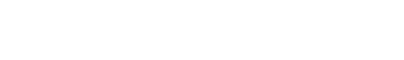 EVERYMAN ARMORY